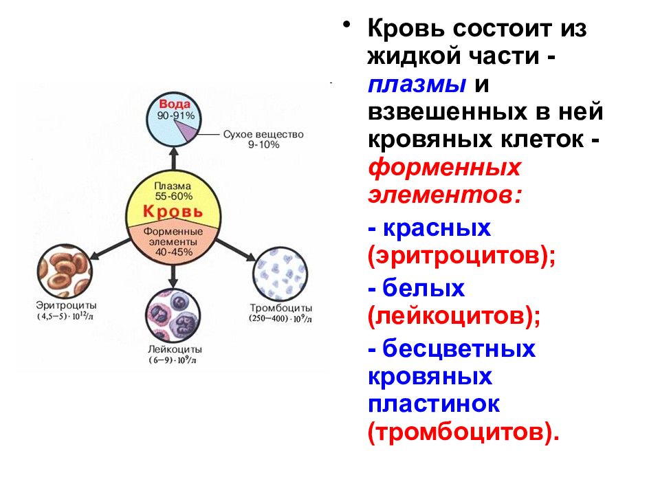 Кровь состав свойства и функции презентация