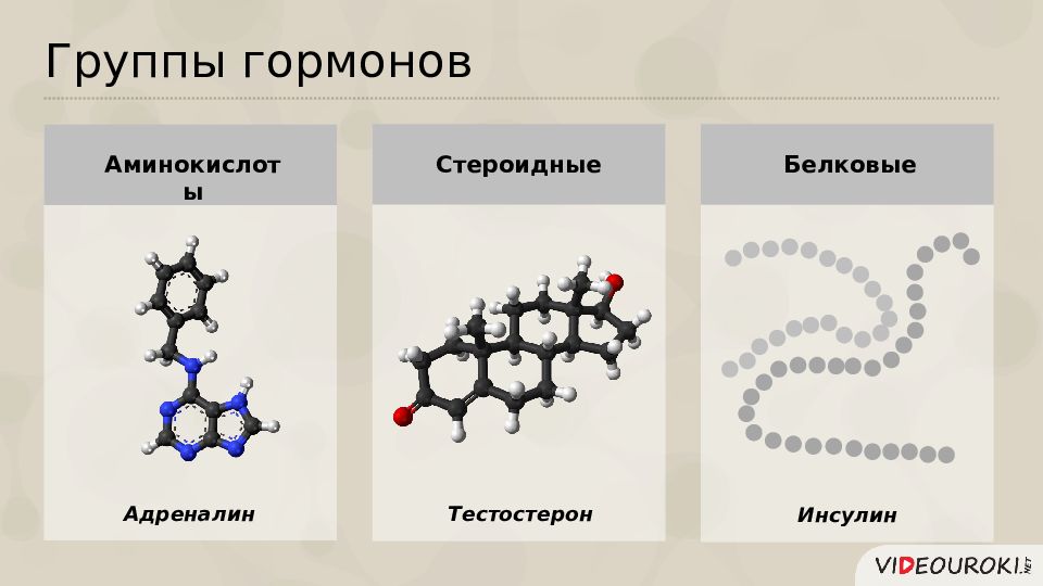 Гормоны белковой природы. Группы гормонов. Белковые и стероидные гормоны. Гормоны белковой группы. Ансамбли гормонов.