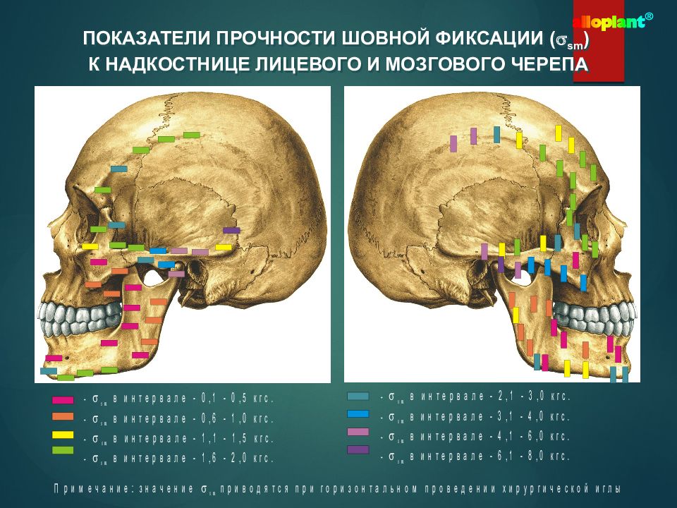 Развитие лицевой области. Развитие черепа в онтогенезе. Онтогенез черепа анатомия. Надкостница черепа.