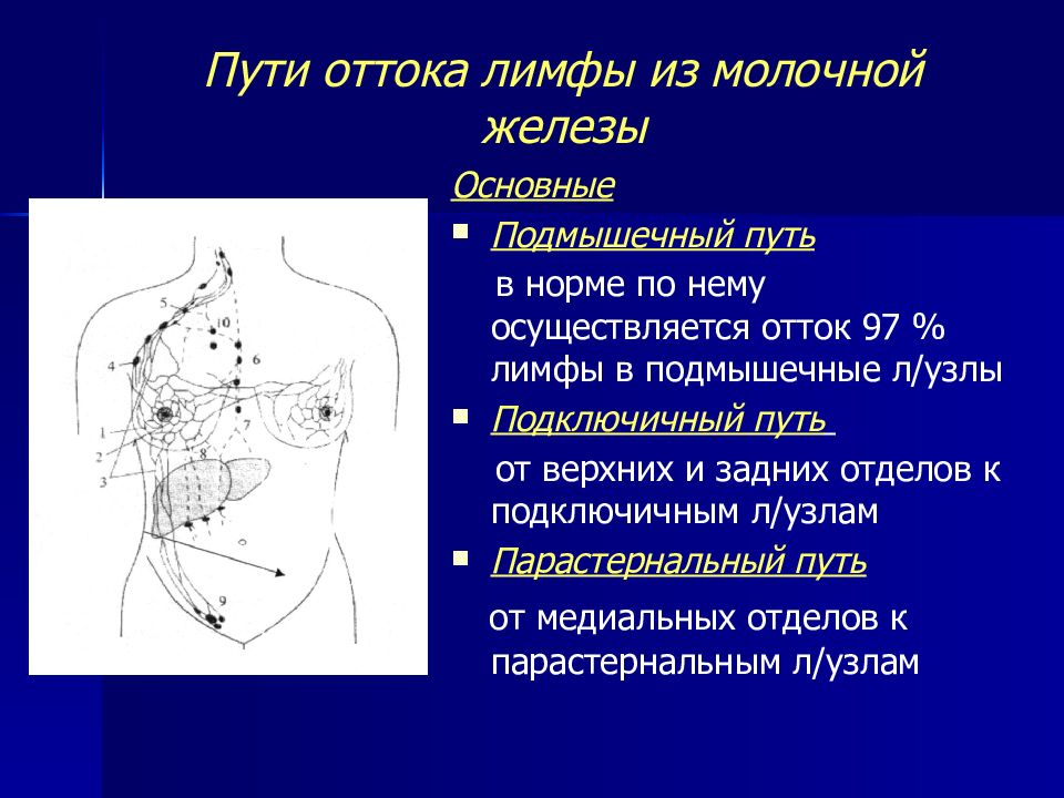 Лимфатические узлы груди. Пути оттока лимфы от молочной железы схема. Зоны лимфооттока молочной железы. Молочные железы анатомия лимфоотток. Квадранты молочной железы лимфоотток.