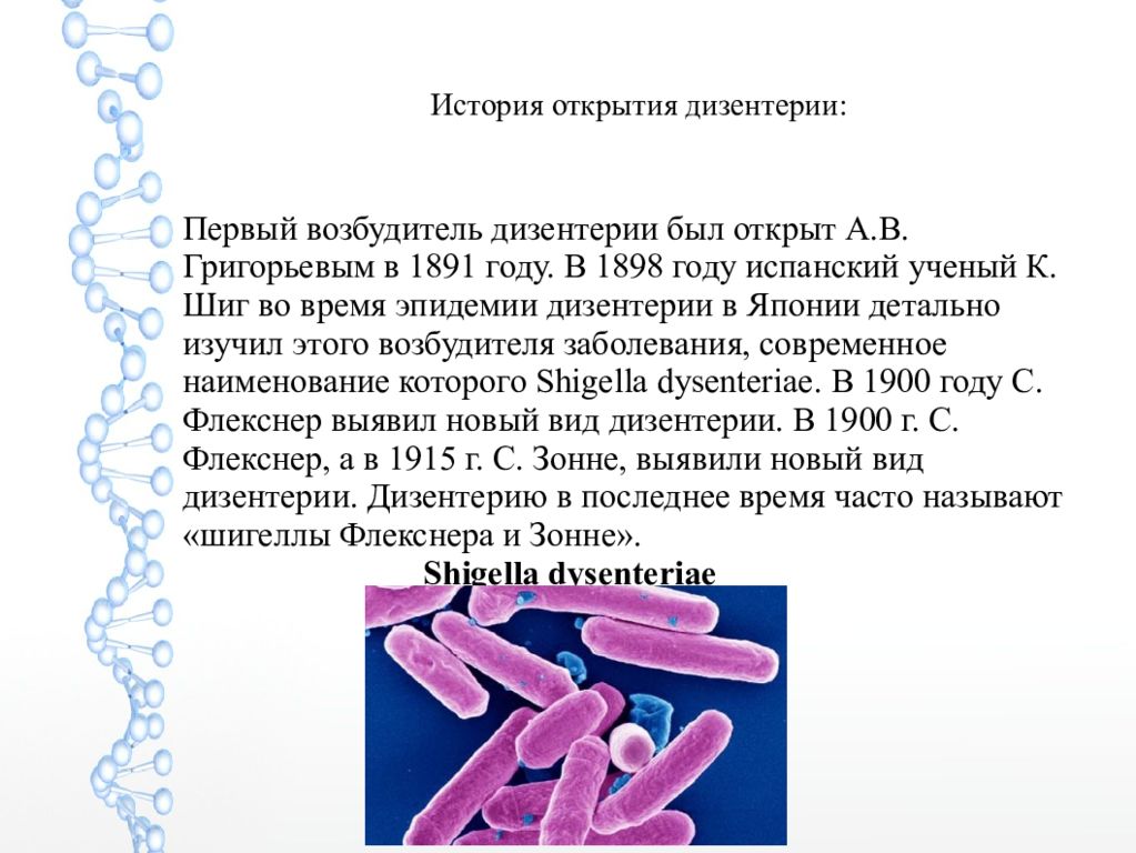 Дизентерия возбудитель. Дизентерия Зонне возбудитель. Шигелла Флекснера 2а. Дизентерия Григорьева Шига возбудитель. Шигеллез презентация.