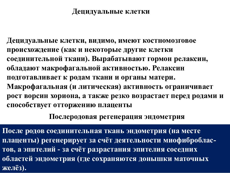 Децидуальные клетки плаценты. Гематофолликулярный барьер гистология. Децидуальная оболочка плаценты гистология. Фсг-продуцирующие гонадотропоциты. Функции децидуальных клеток эндометрия.