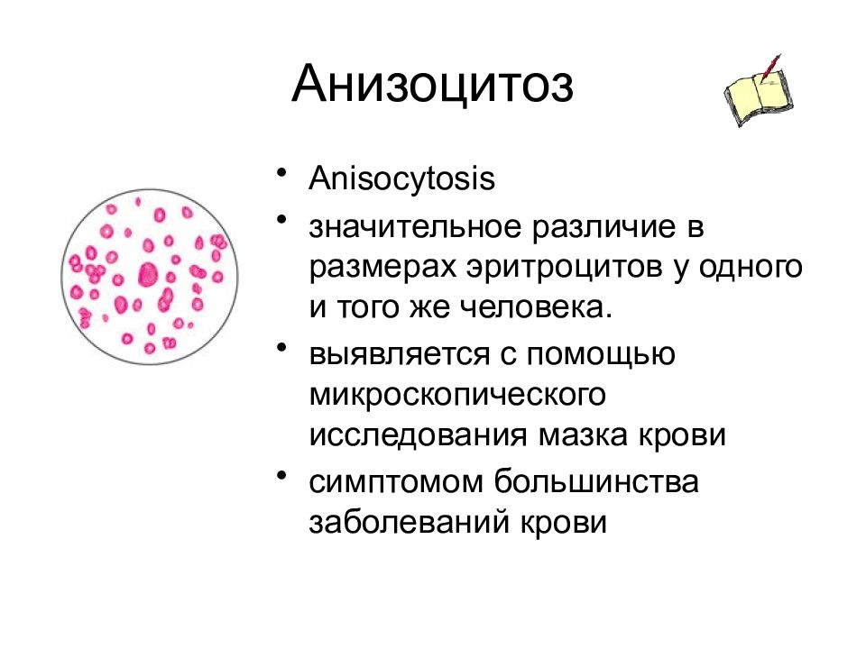 В отличие от эритроцитов. Анизоцитоз пойкилоцитоз полихроматофилия. Исследование крови анизоцитоз. Анизоцитоз при анемии. Микроцитоз макроцитоз анизоцитоз.