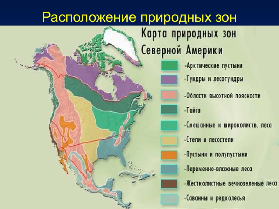 План характеристики страны северной америки