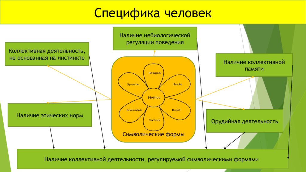 Специфичность человека