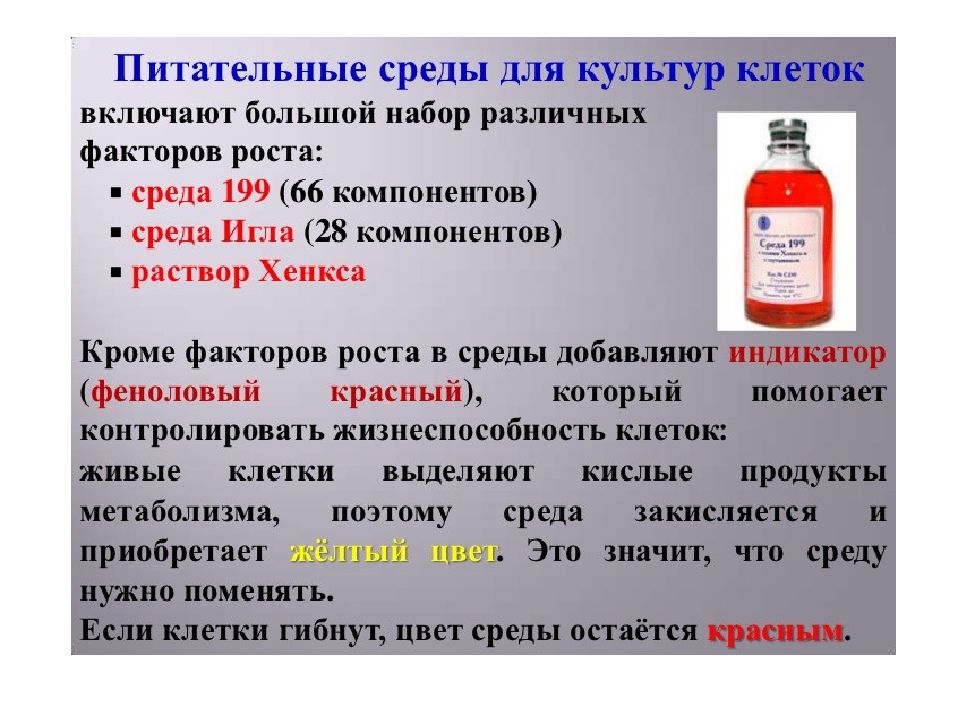 Среда почему пост. Среда 199. Среда 199 состав. Среда 199 и игла. Среда 199 микробиология состав.