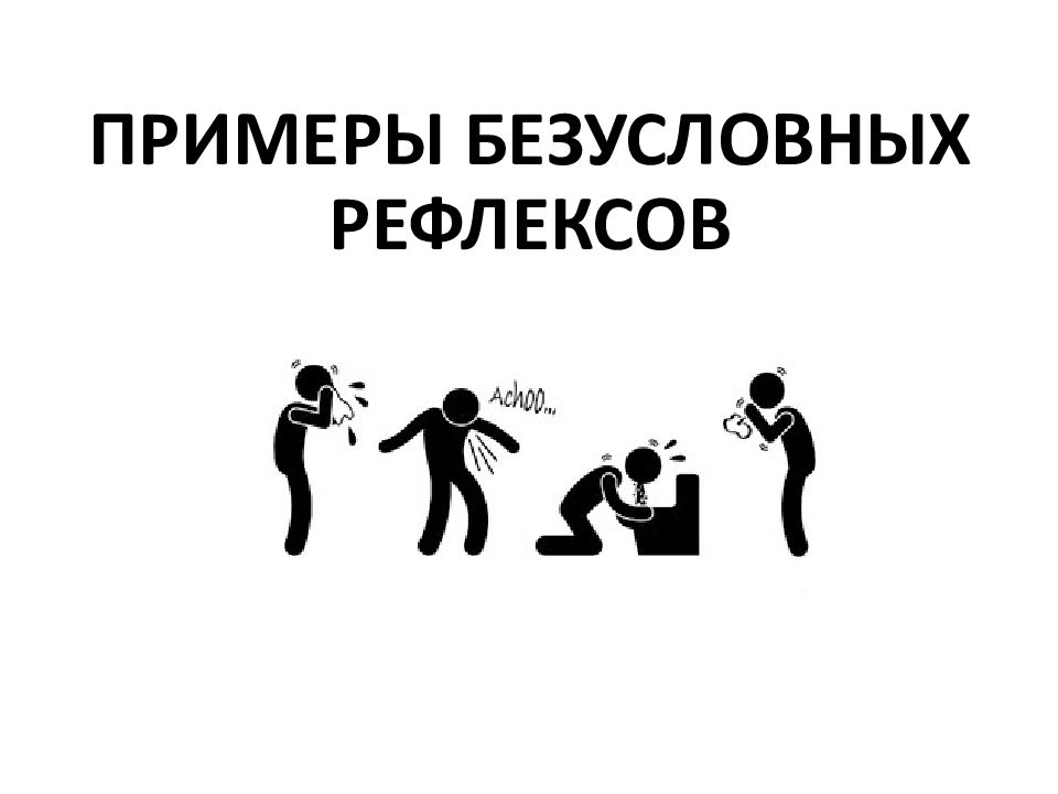 Безусловный рефлекс определение примеры Безусловные рефлексы картинки