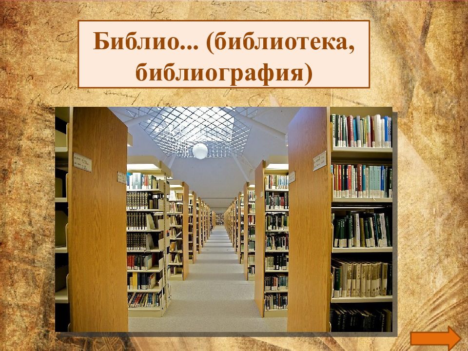 Днях литературы в библиотеке. Библиография в библиотеке. Библиодворик в библиотеке.