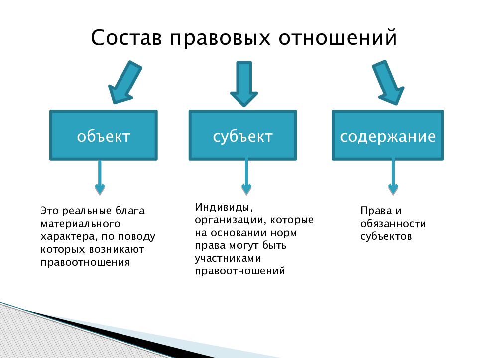 Налоговые правоотношения