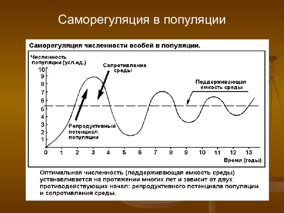 Механизмы саморегуляции. Регуляция численности популяции схема. Саморегуляция численности популяций. Схема саморегуляции численности популяции. Механизмы саморегуляции популяции.