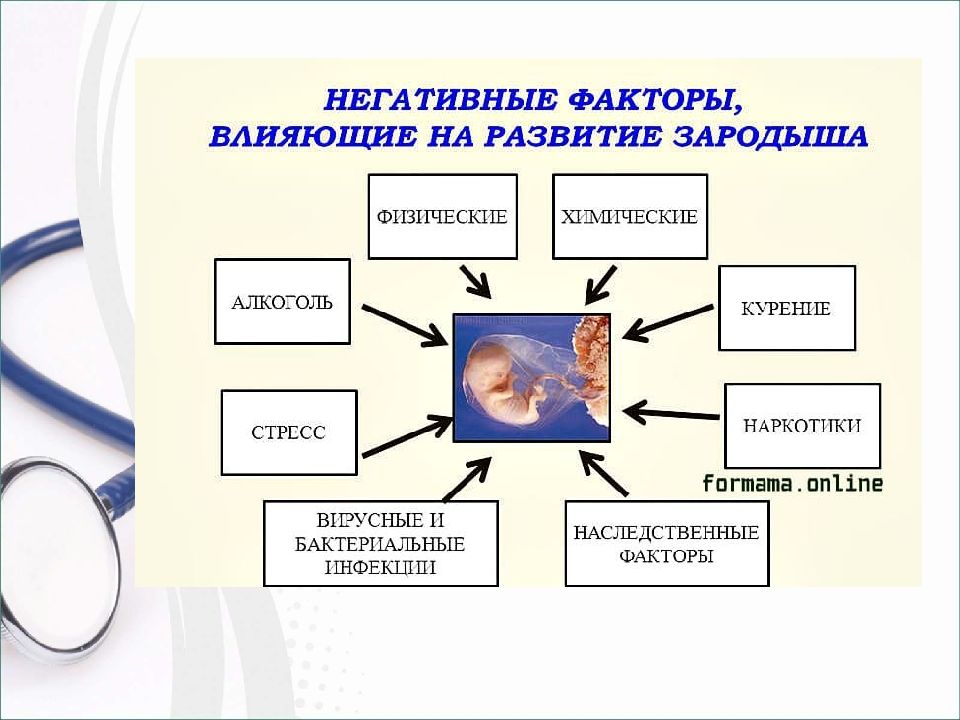 Влияние курения на развитие плода презентация