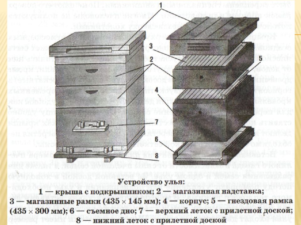 Схема строительства улья