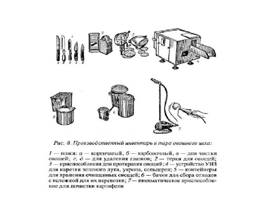 Опишите технологическую схему обработки картофеля и корнеплодов в овощном цехе виды оборудования