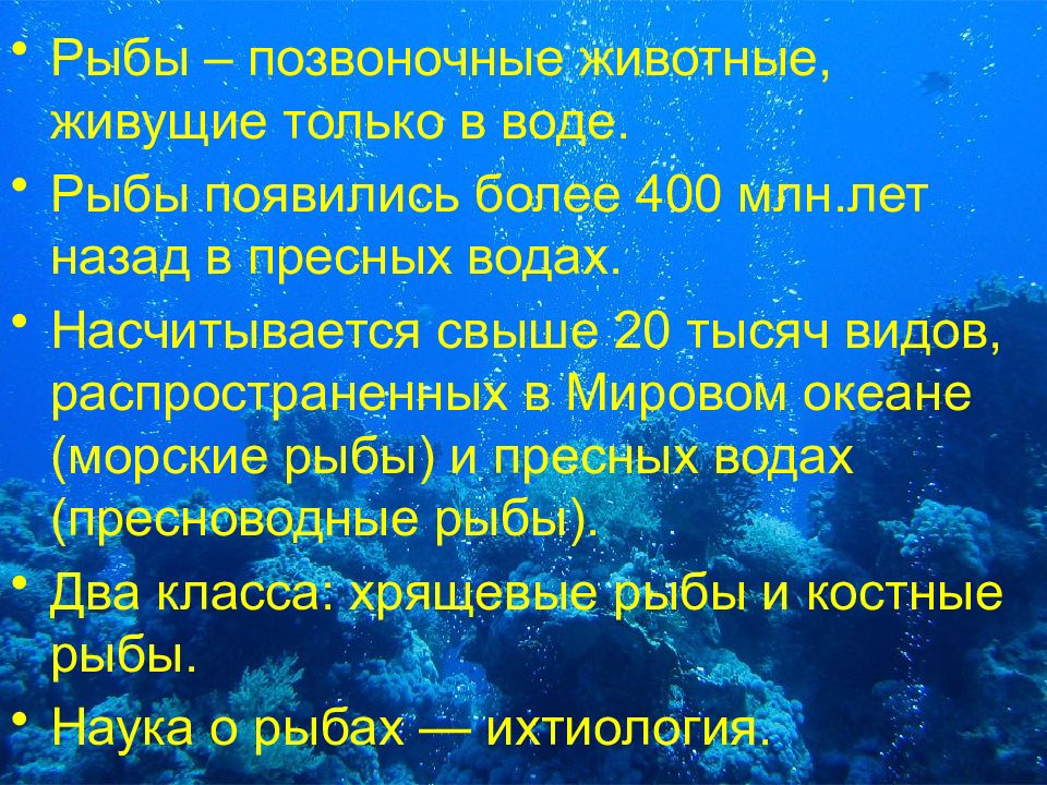 Строение и жизнедеятельность рыб 7 класс презентация