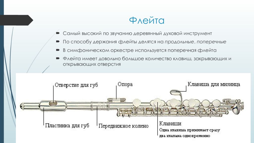 Схема флейт. Флейта продольная и поперечная. Конструкция головки поперечной флейты. Самый высокий по звучанию деревянный духовой инструмент.