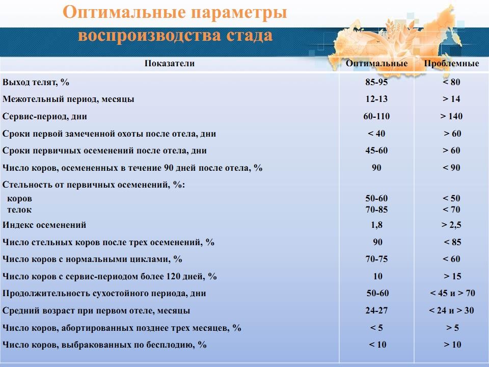 Воспроизводство стада крс. Показатели воспроизводства коров. Показатели воспроизводства стада. Показатели воспроизводства коров таблица. Основные показатели стельности коров.