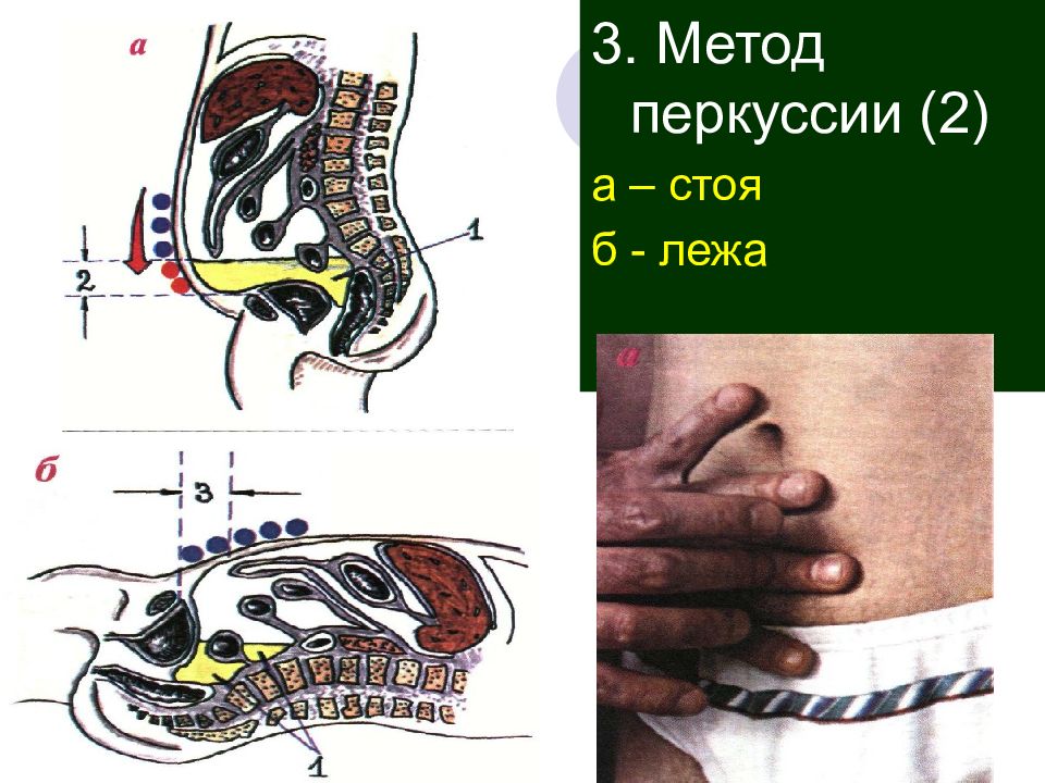 Методы обследования органов пищеварения презентация