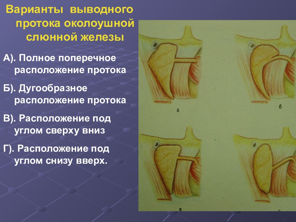 Эстетическая хирургия лица презентация