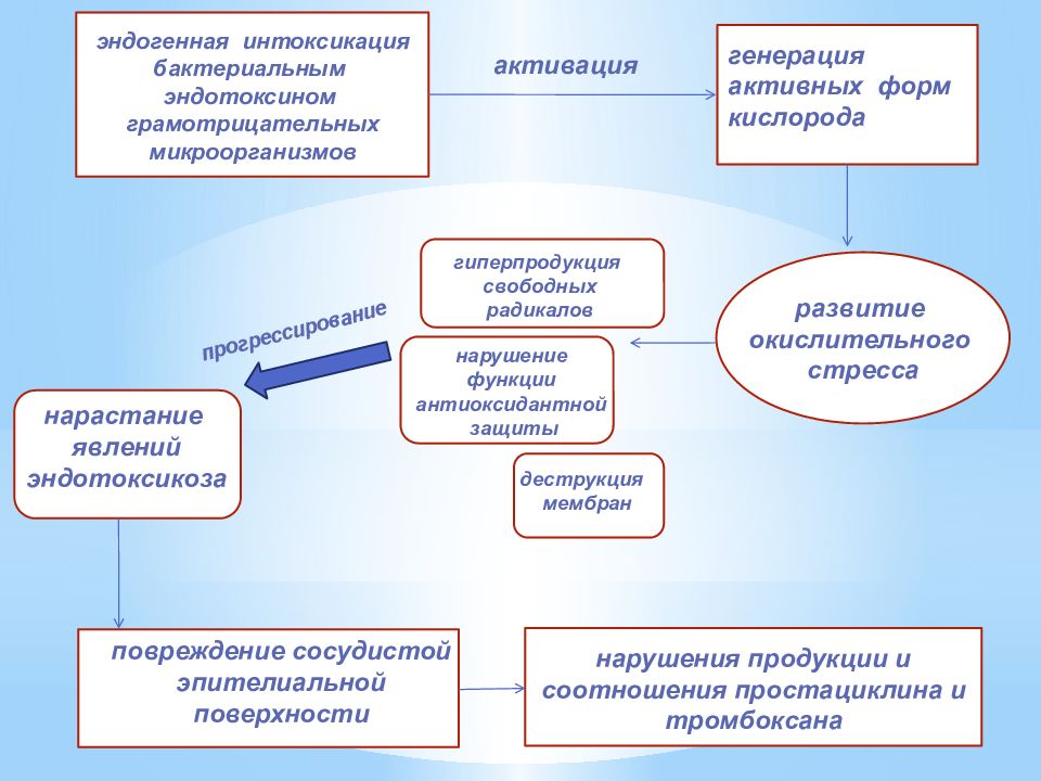 Аутоиммунный эндометрит лечение схема