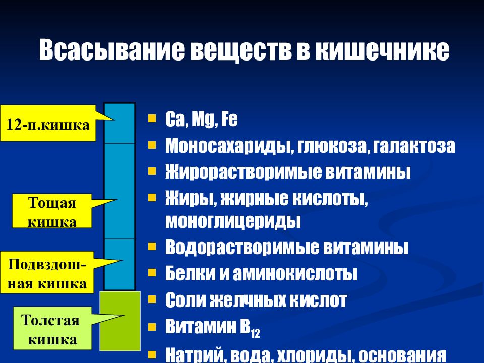 Через сколько всасывается. Всасывание веществ в кишечнике. Всасывание веществ в кишечнике физиология. Всасывание Минеральных веществ. Всасывание Минеральных веществ в ЖКТ.