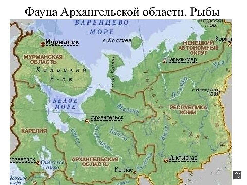 Карта архангельска