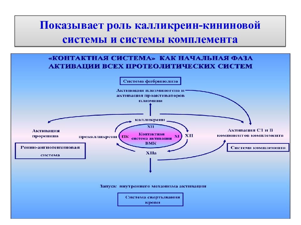 Показана роль. Роль калликреин кининовой системы. Калликреин кининовая система и система комплемента. Калликреин кининовая система активация. Калликреин-кининовая система плазмы крови.