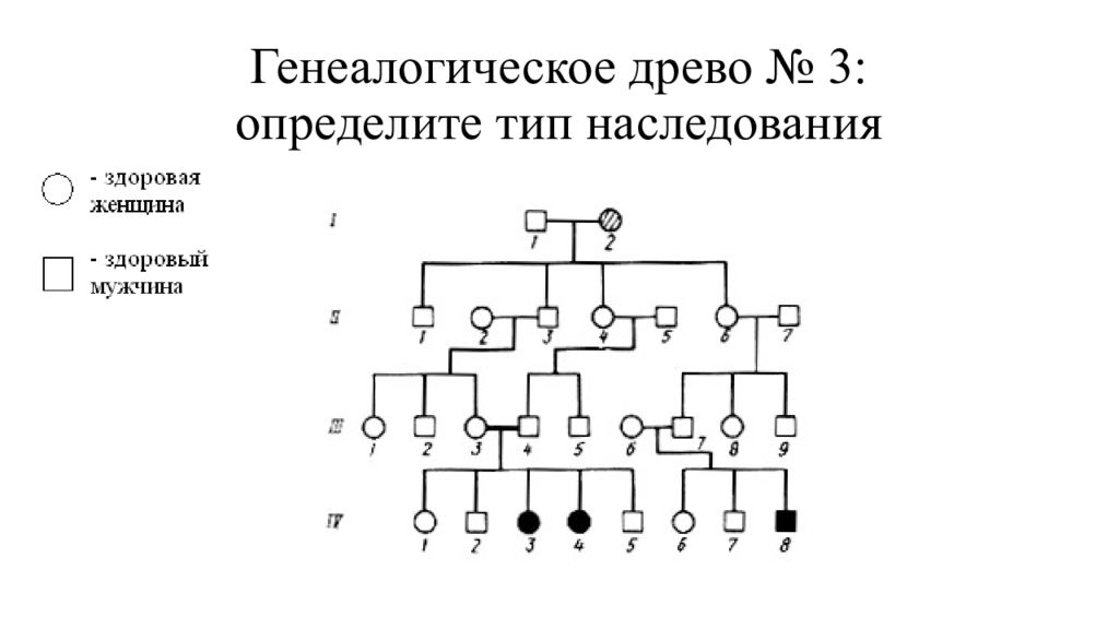 Генеалогическое исследование. Родословная типы наследования. Схема родословной наследования. Типы наследования в родословной. Родословный Тип наследования.