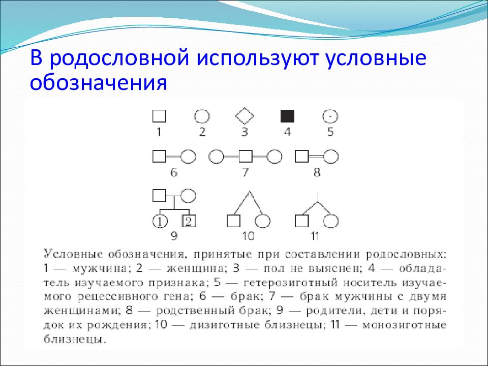 Методы изучения наследственности