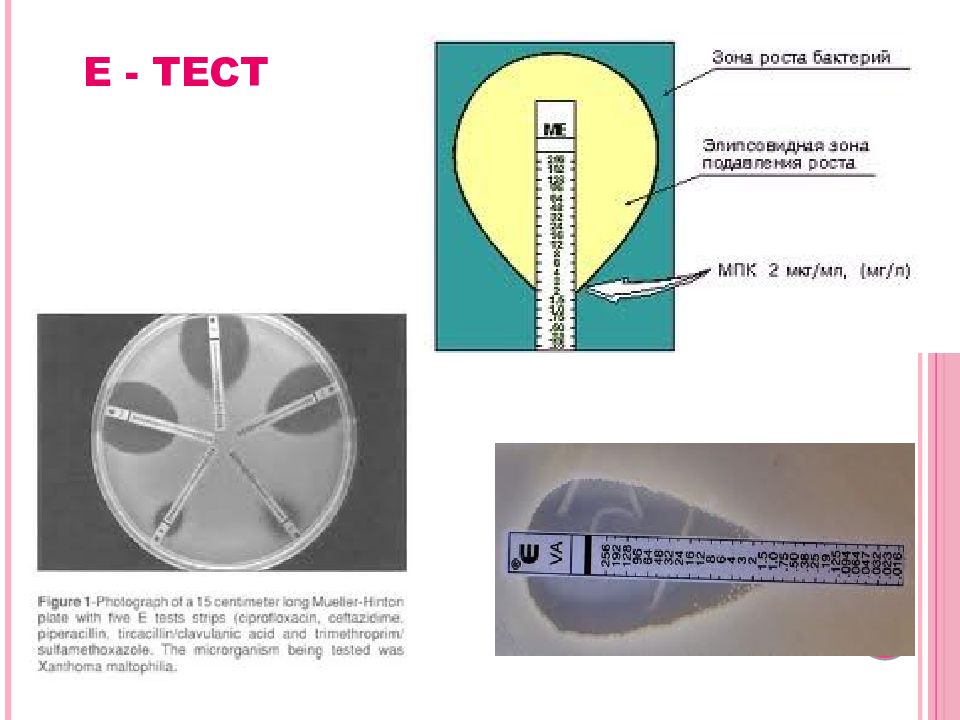 Метод е. Эпсилометрический метод е-тест. Е тесты для определения чувствительности к антибиотикам. Метод е теста микробиология. Е-тест антибиотики микробиология.