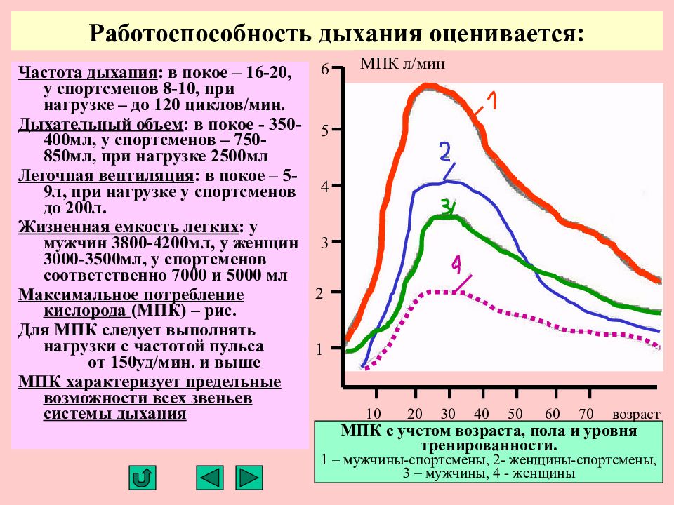 Максимальное потребление кислорода мпк это. Максимальное потребление кислорода. Максимальное потребление кислорода МПК характеризует. Работоспособность дыхания. Показатель максимального потребления кислорода.