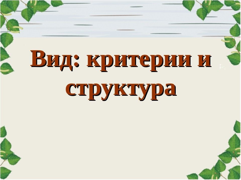 Вид критерии правильный ответы