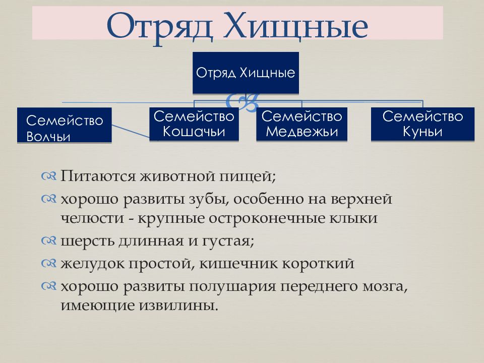 Многообразие млекопитающих презентация 7 класс