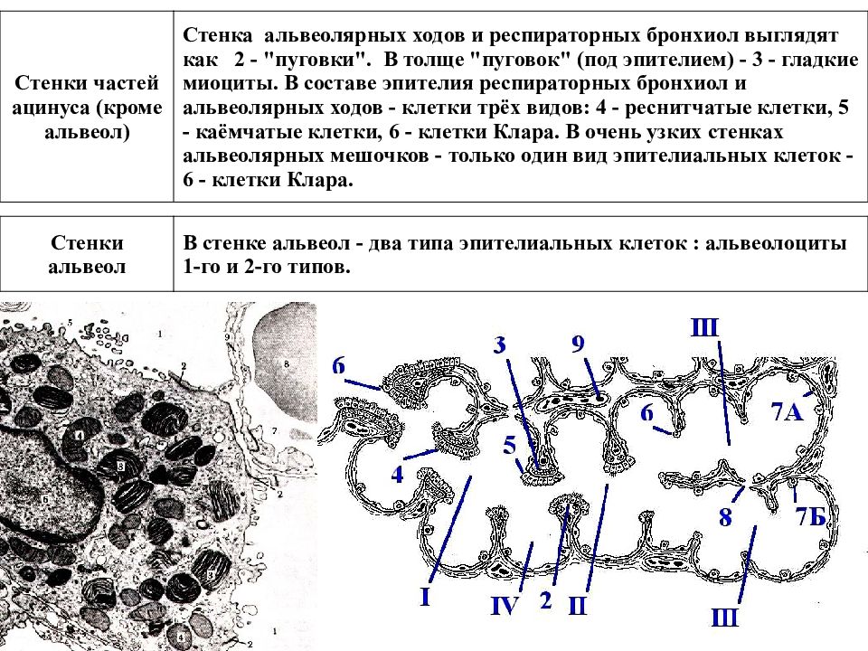 Ход на клетку