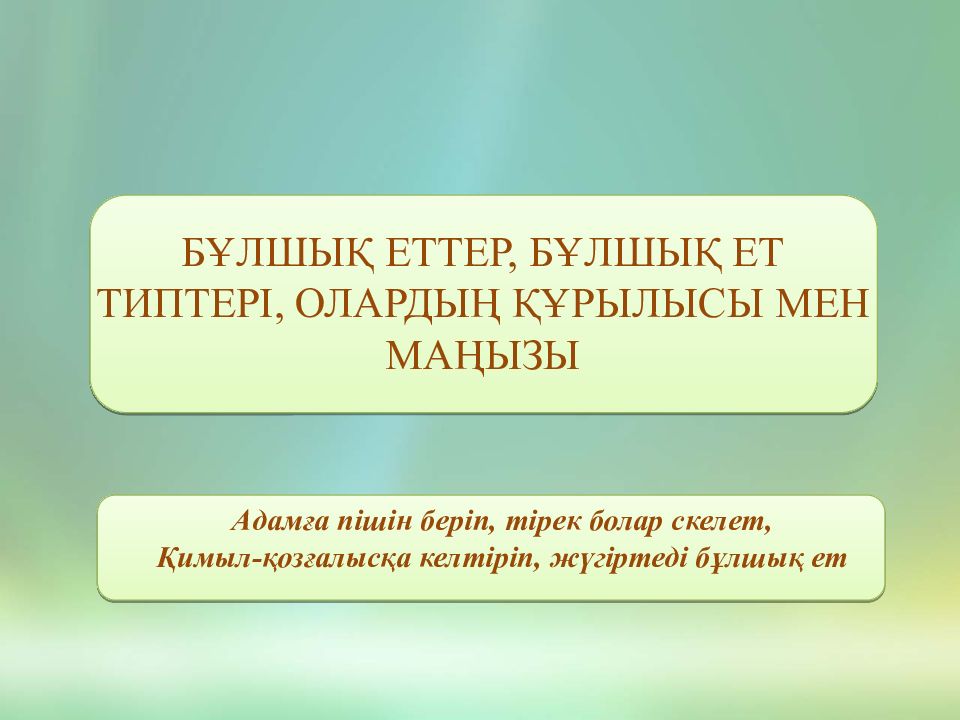 БҰЛШЫҚ ЕТТЕР, БҰЛШЫҚ ЕТ ТИПТЕРІ, ОЛАРДЫҢ ҚҰРЫЛЫСЫ МЕН МАҢЫЗЫ