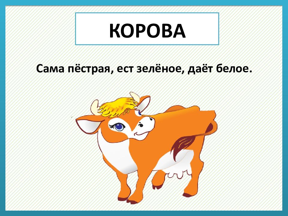 Загадка корова. Загадка про корову. Загадка про корову для детей. Ребус корова. Загадка про теленка для детей.