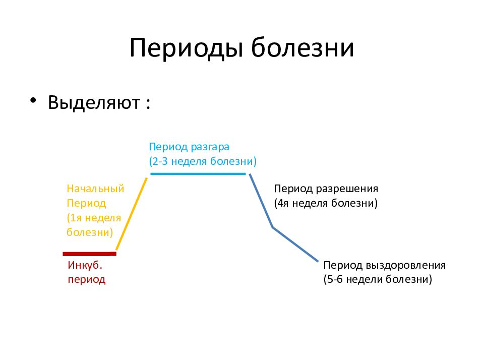 Какие периоды выделяют