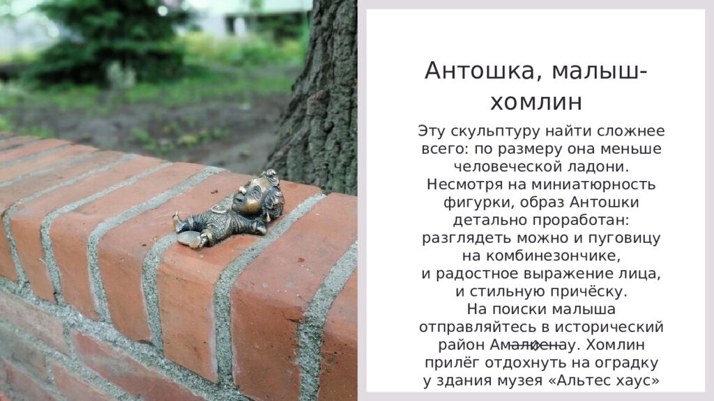 Антошка, малыш- хомлин