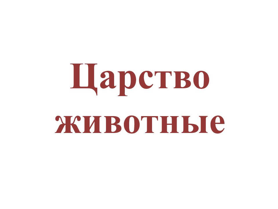 Царство животные