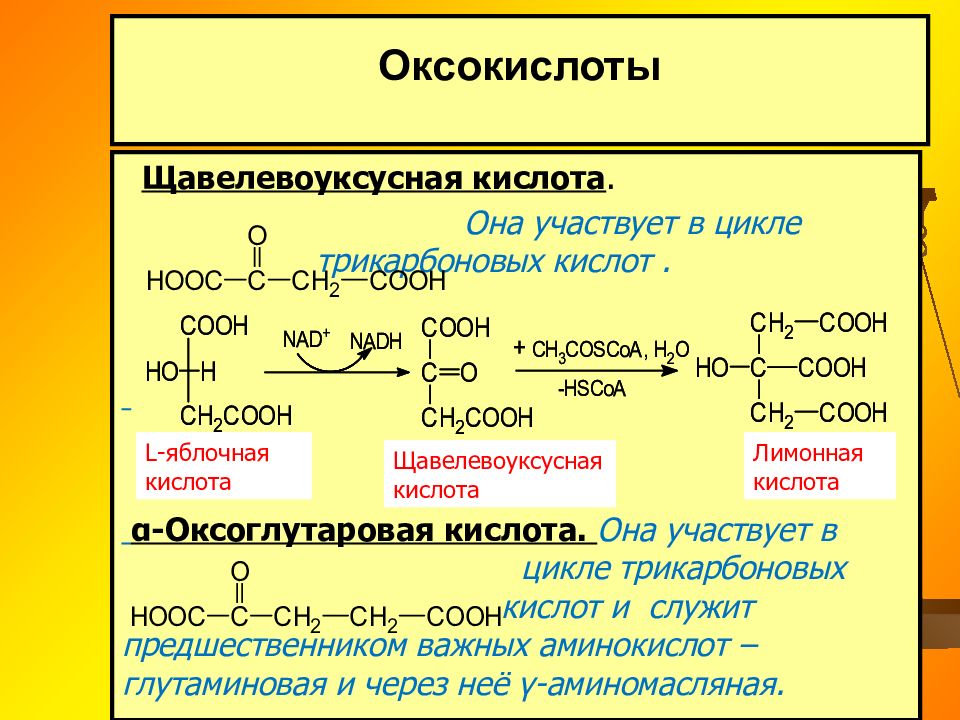 Липиды омыляемые презентация