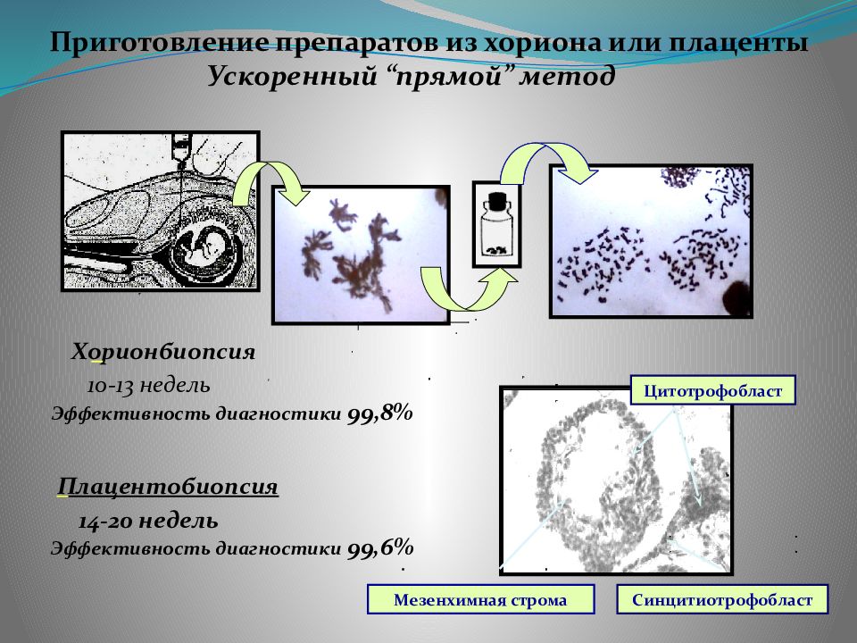 Пренатальная диагностика презентация