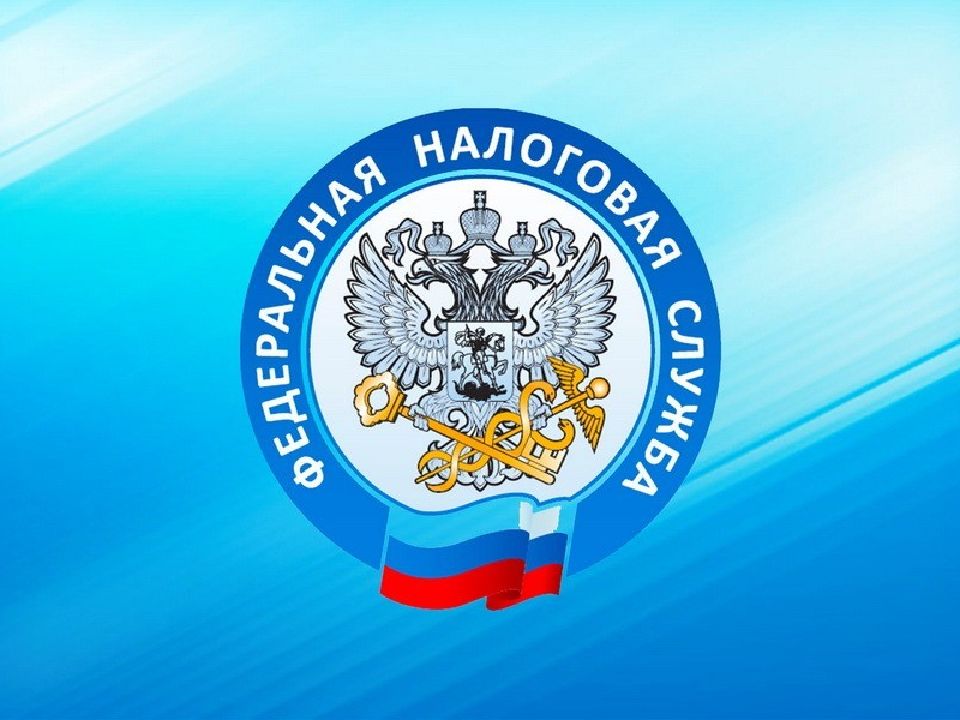 10 экономические функции государства