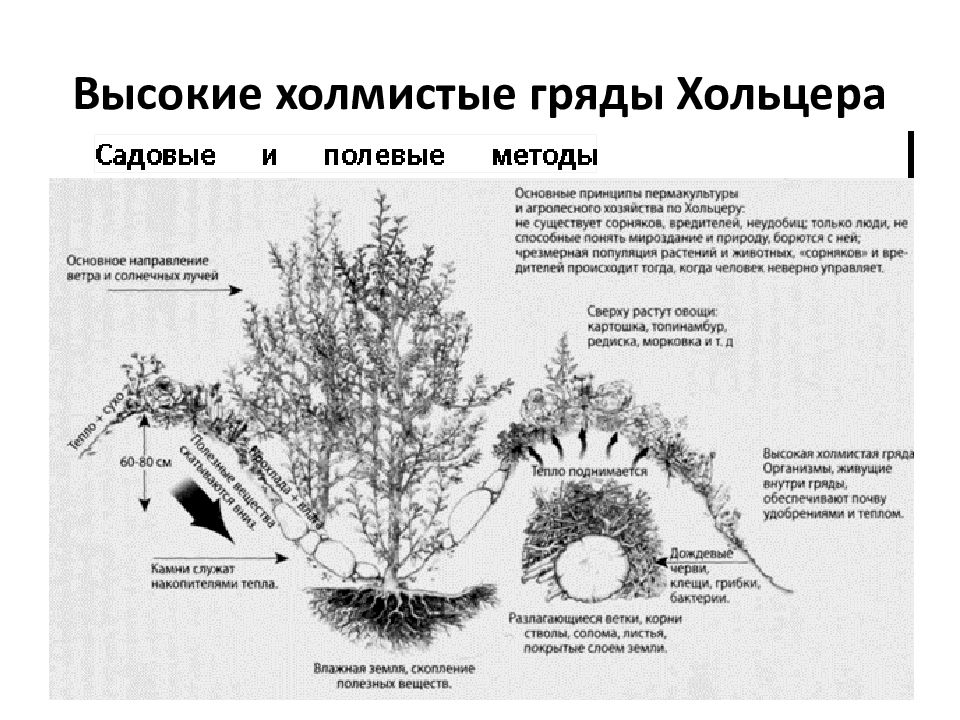 Грядки хольцера схема