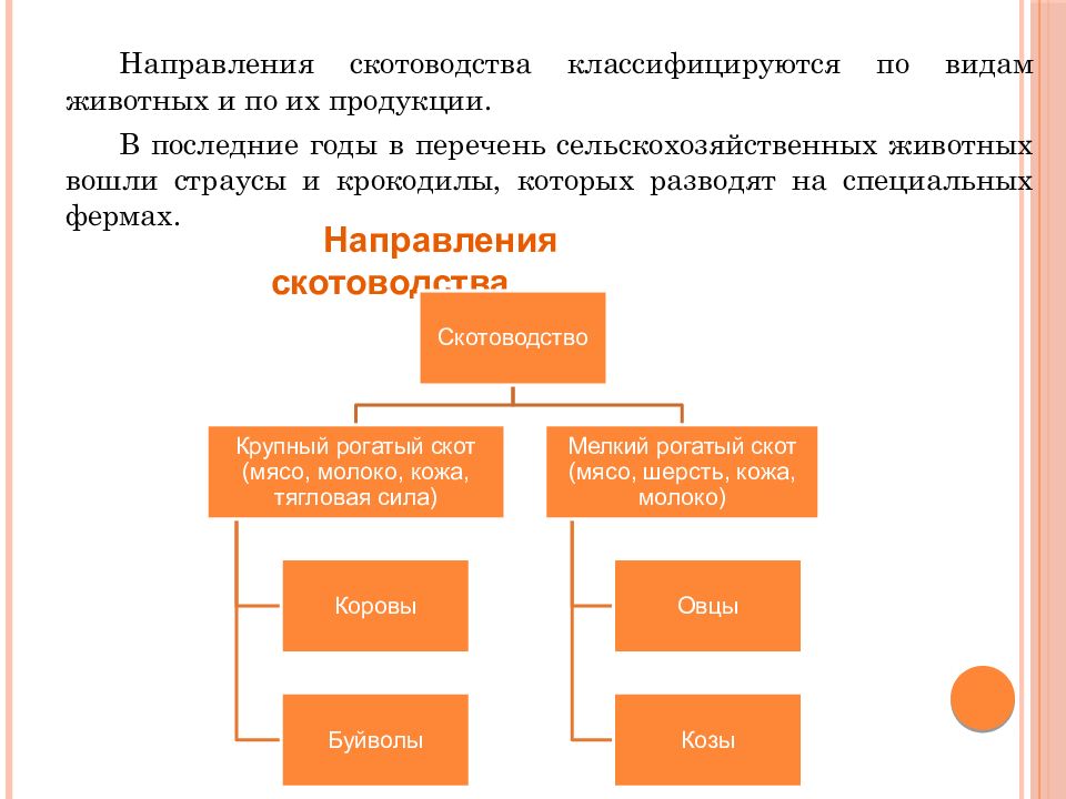 Сельскохозяйственные животные и животноводство 5 класс технология презентация