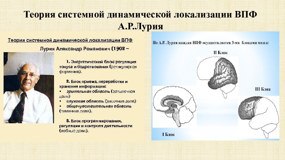 Презентация а р лурия