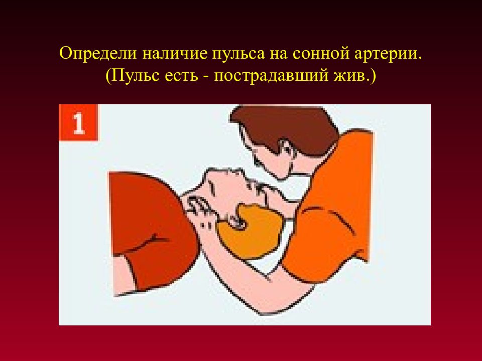 Наличие пульса. Определение пульса на сонной артерии. Оценка состояния пульса на сонной артерии пострадавшего. Определить наличие пульса на сонной артерии пострадавшего. Как определить пульс на сонной артерии.