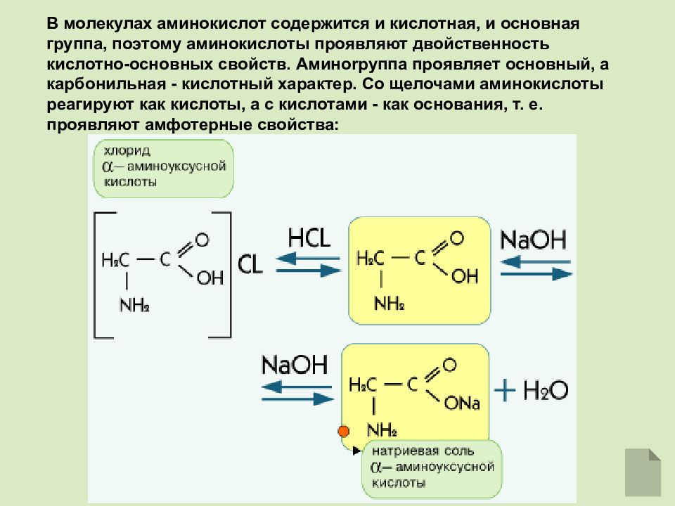 Амины и аминокислоты презентация