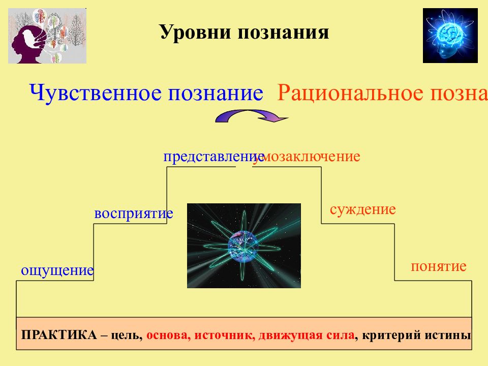 Цель познания. Уровень познания истины. Последовательность уровней познания. Степени познания. Что является целью познания.