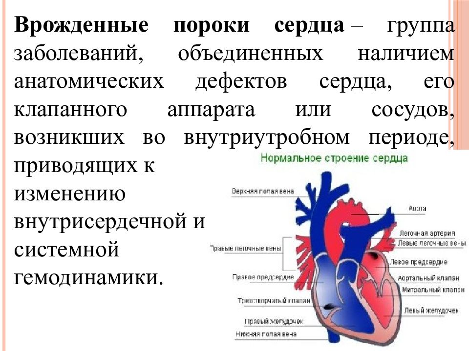 Блок схема пороки сердца