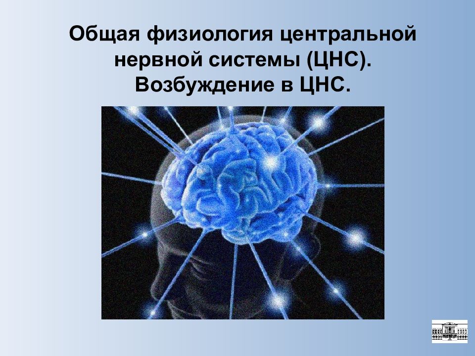Общая физиология центральной нервной системы (ЦНС). Возбуждение в ЦНС.