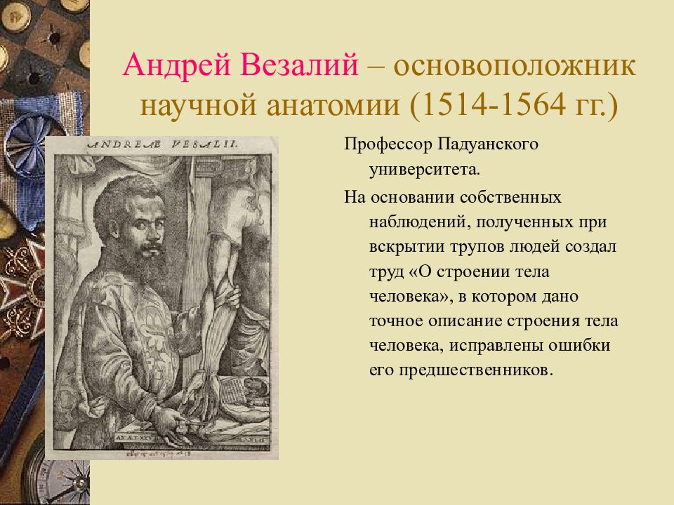 везалий основоположник научной анатомии. основоположник анатомии везалий. андреас везалий основоположник научной анатомии кратко. открытия андреаса везалия. везалий основоположник.
